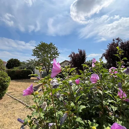 Homestay szállás Parenthese Toulousaine - Metro Roseraie Toulouse